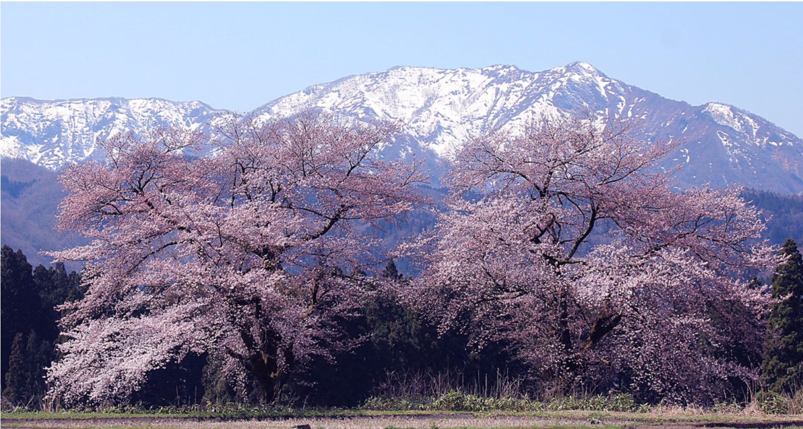 2018-50.jpg
